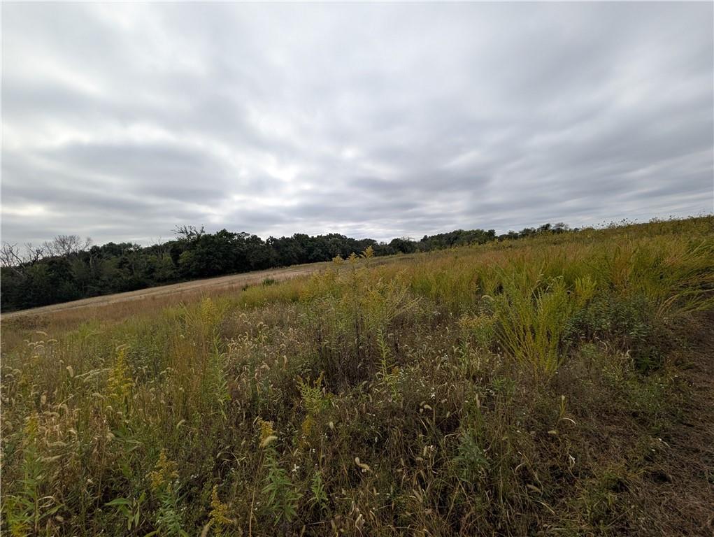  E 270th AvenueRidgeway, MO 64481