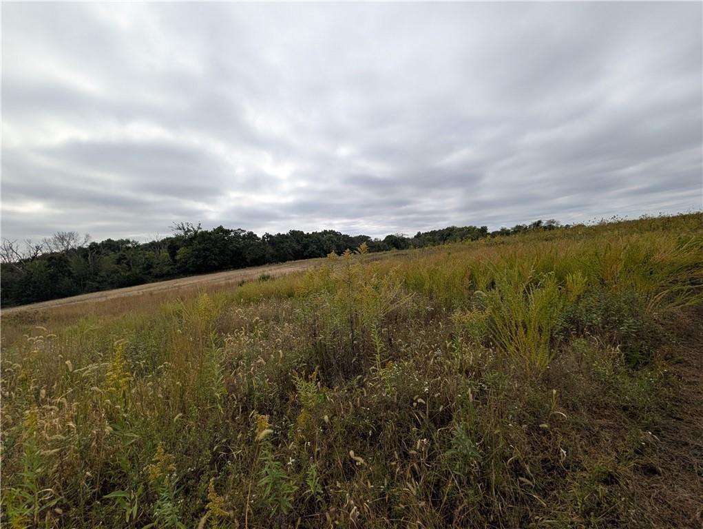  E 270th AvenueRidgeway,&nbsp;MO&nbsp;64481