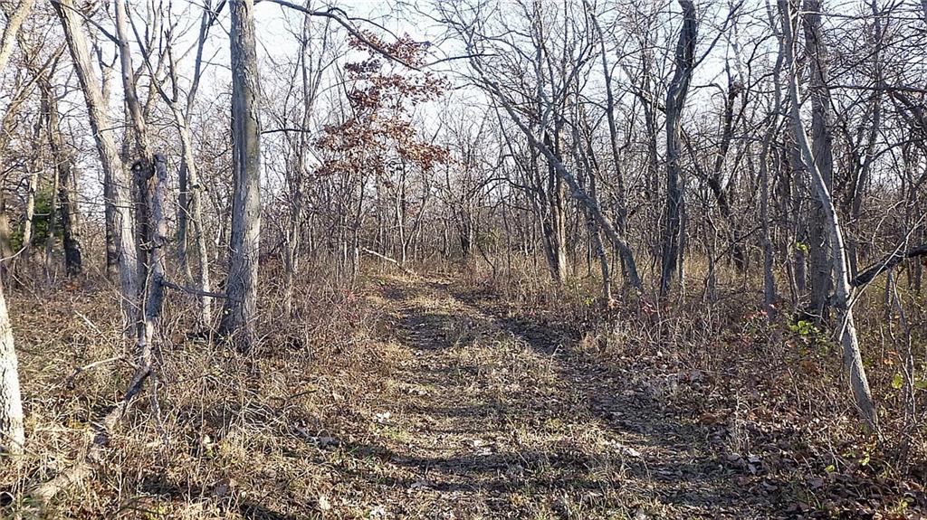  YY Highway HighwayElmo, MO 64445