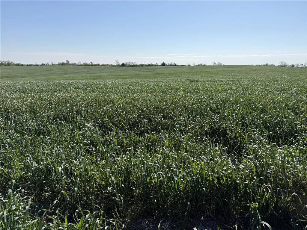TBD #3 H HighwayDarlington,&nbsp;MO&nbsp;64438
