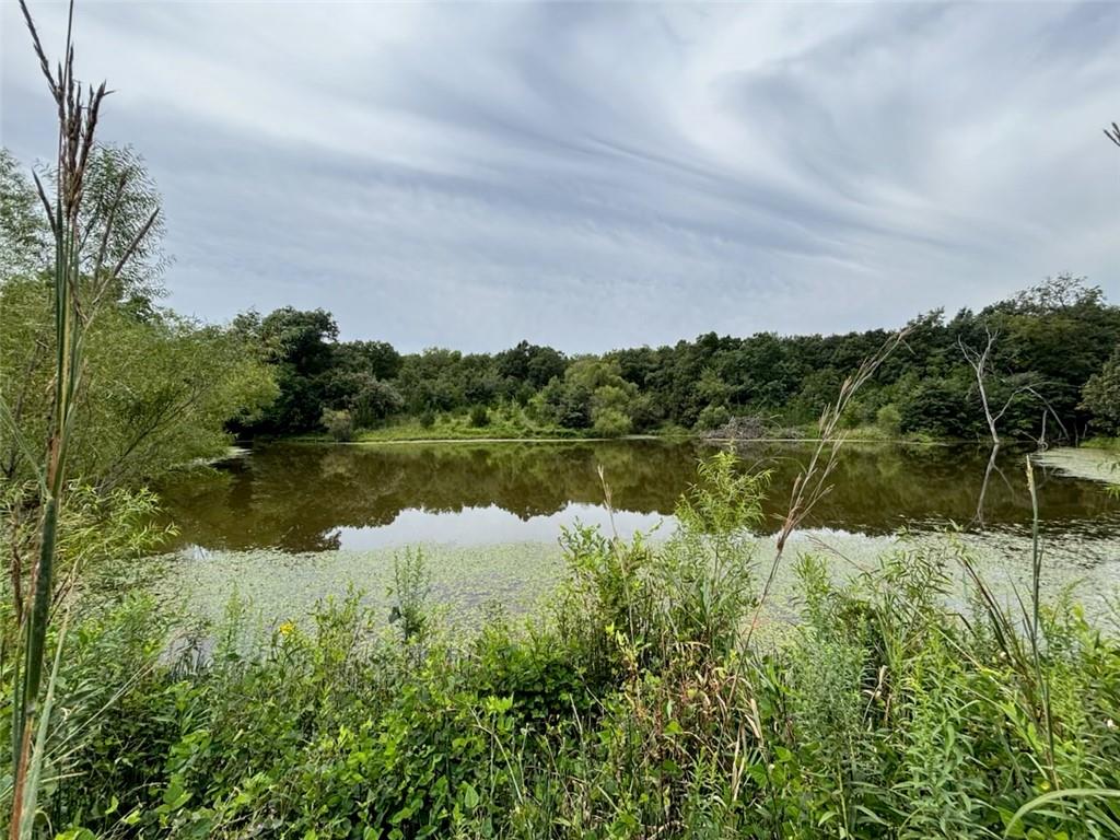 Juniper AvenueOther, MO 64499