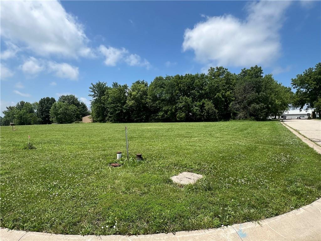 Lot 101 Timber Court CourtHelena, MO 64459