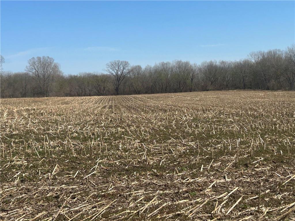  gentryville Trail TrailAlbany, MO 64402