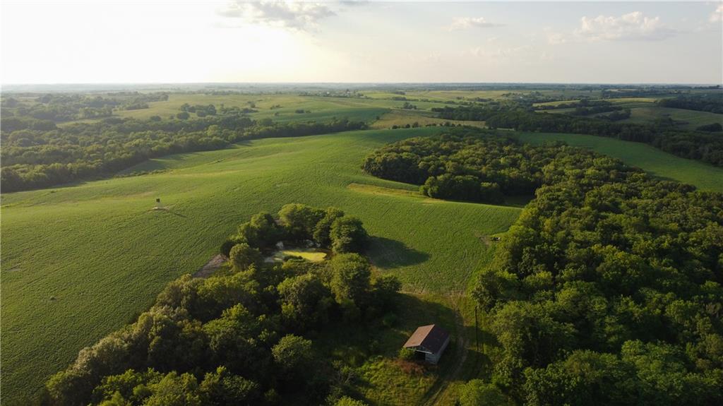  Road 217 RoadGrant City,&nbsp;MO&nbsp;64456