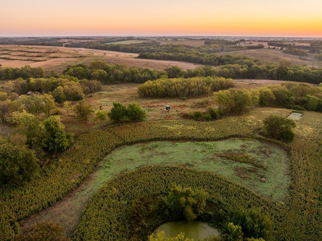 0000 460 RoadWorth, MO 64499