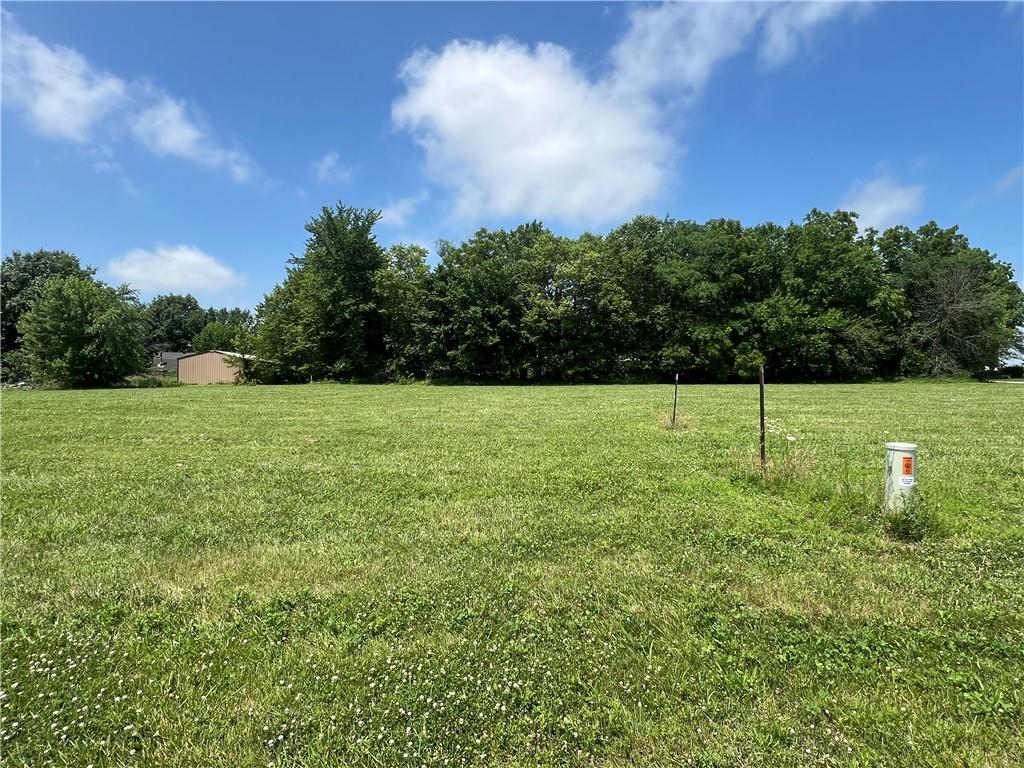 Lot 103 Timber Court CourtHelena, MO 64459