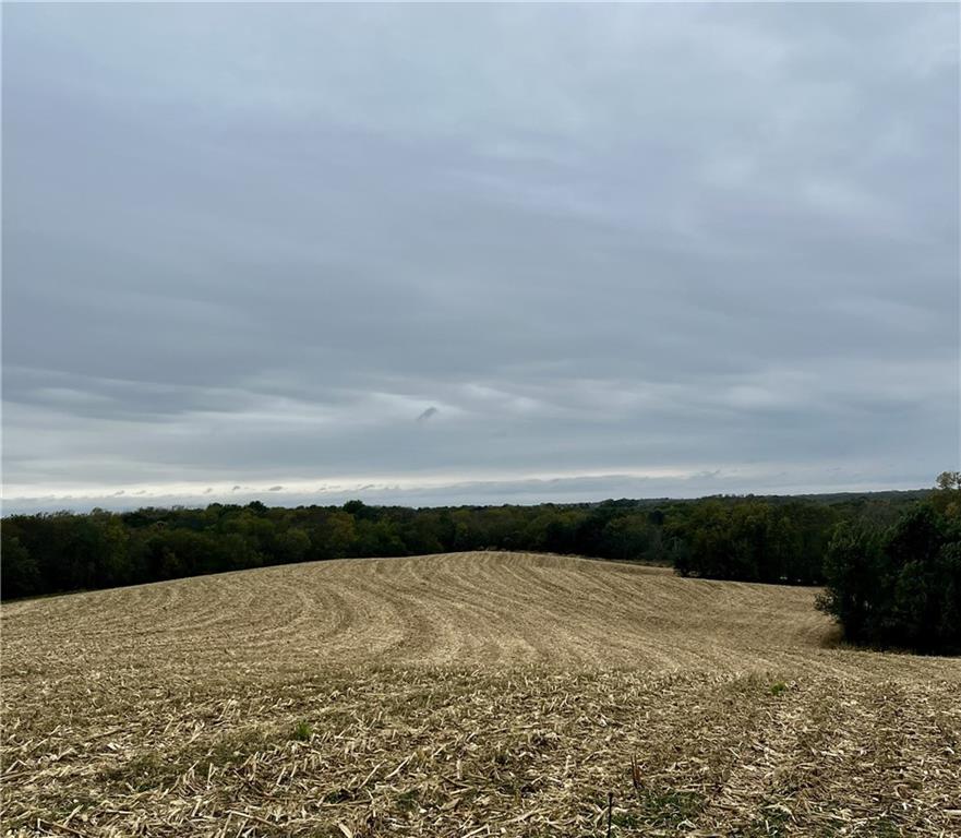 Tract 2 County Road 422 RoadAmazonia, MO 64421