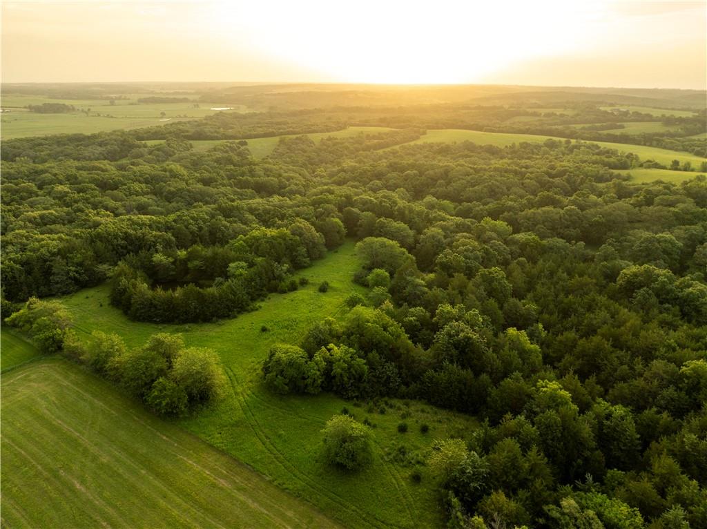 0000 County Road 274 N/AGrant City,&nbsp;MO&nbsp;64420