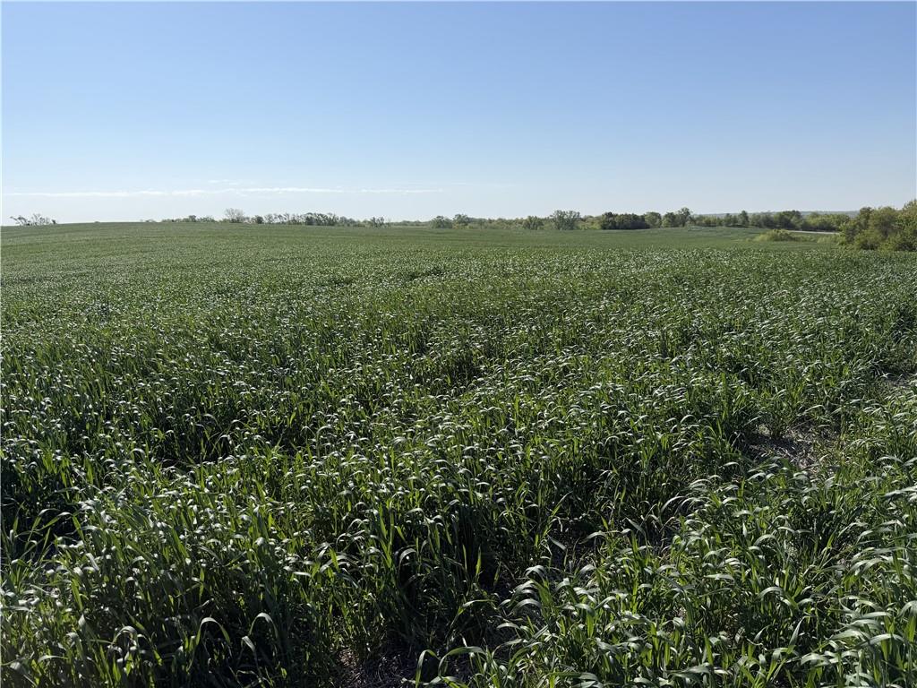 TBD #2 H HighwayDarlington,&nbsp;MO&nbsp;64438