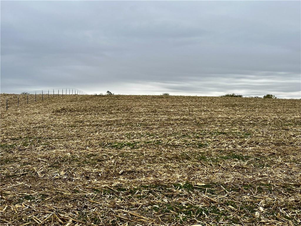 Tract 1 Country Road 422 RoadAmazonia, MO 64421