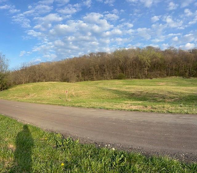 10367 SW Bluff TRACT 2 RoadSt Joseph,&nbsp;MO&nbsp;64504